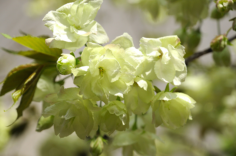 image0140