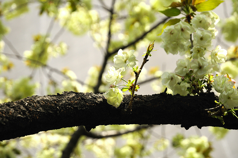 image0143