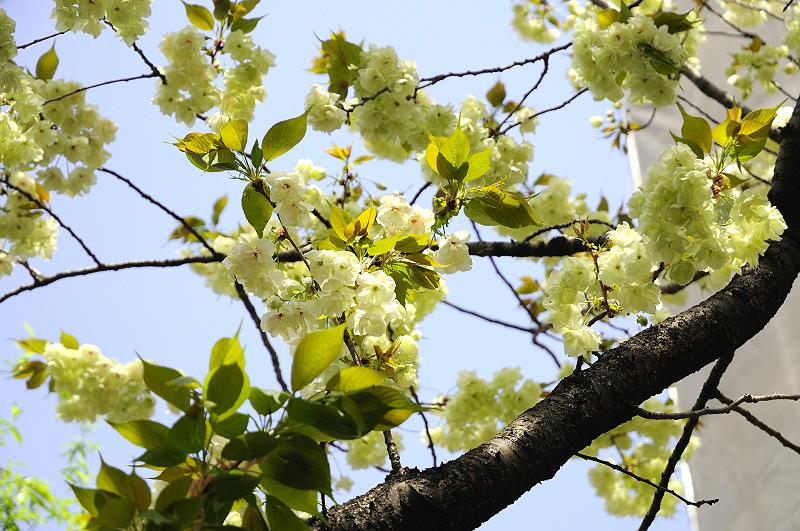 image0144