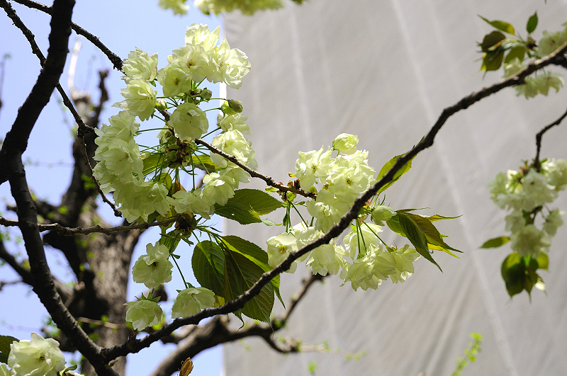 image0149
