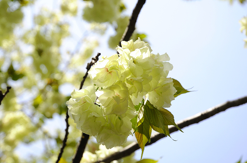 image0151