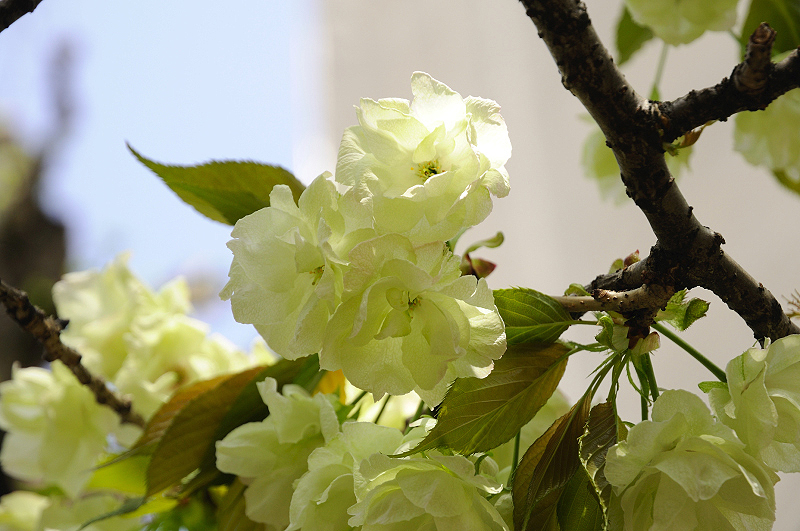 image0156