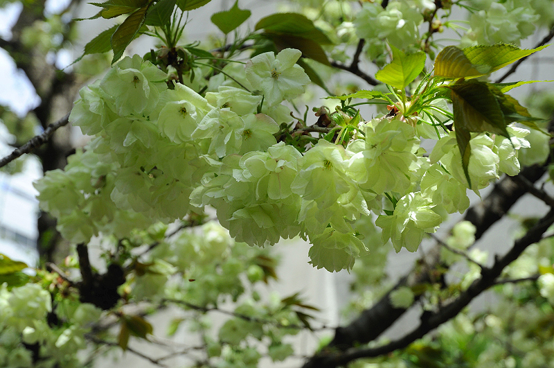 image0167