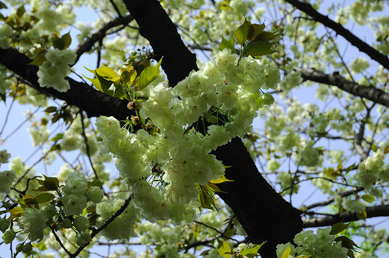 image0168