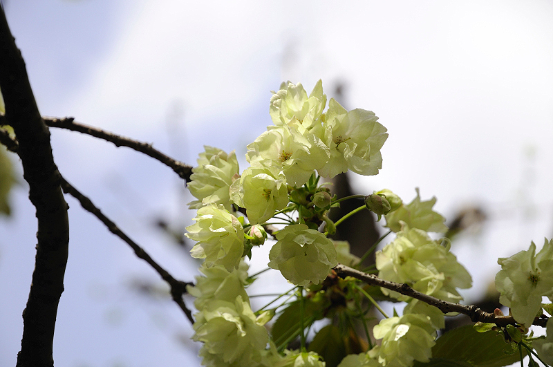 image0171