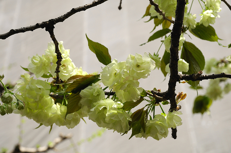 image0173