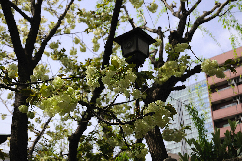 image0174