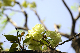 image0130