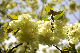 image0132
