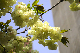 image0134