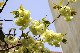 image0136