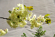 image0137