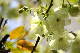 image0138