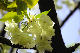 image0139