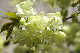 image0140