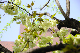 image0141