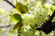 image0142