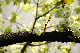 image0143