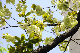 image0144