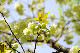image0146
