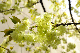 image0147