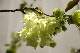 image0148