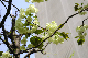 image0149