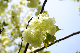 image0151