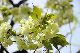 image0152