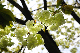 image0153