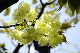 image0154