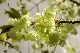 image0155
