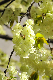 image0157