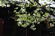 image0159