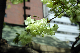 image0166