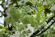 image0167
