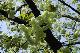 image0168