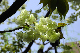 image0169