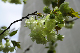 image0170