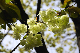image0172