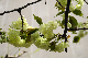 image0173