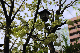 image0174