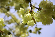 image0175