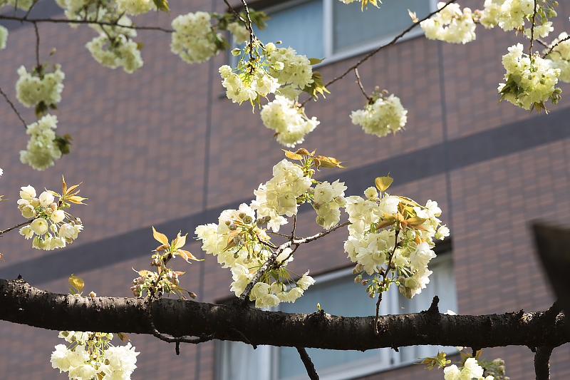image0097