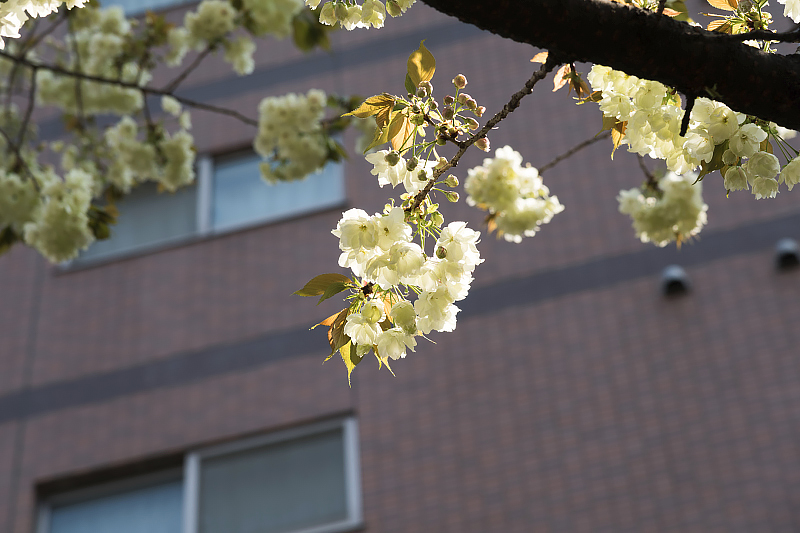image0098