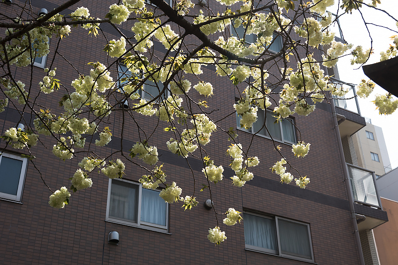image0099