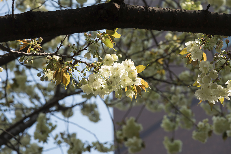 image0101