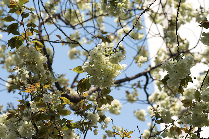 image0104