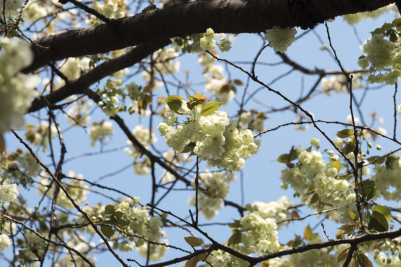 image0108