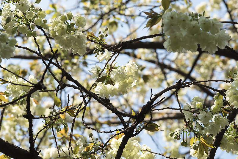 image0110